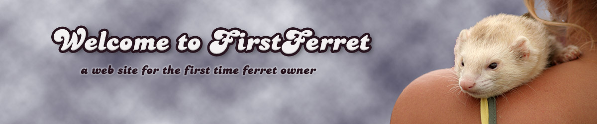 Welcome to FirstFerret